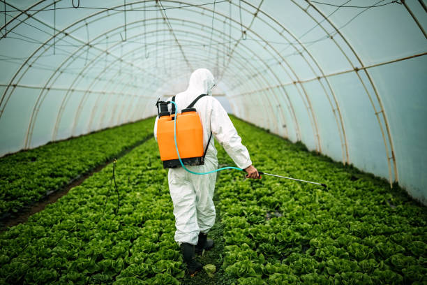 Best Best Pest Control Companies  in Roebling, NJ