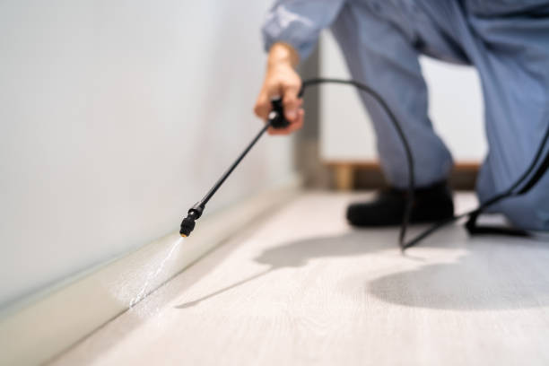 Pest Control Cost in Roebling, NJ