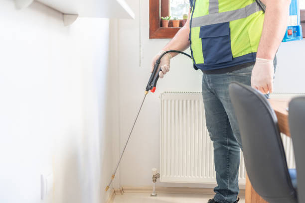 Wasp Removal Services in Roebling, NJ