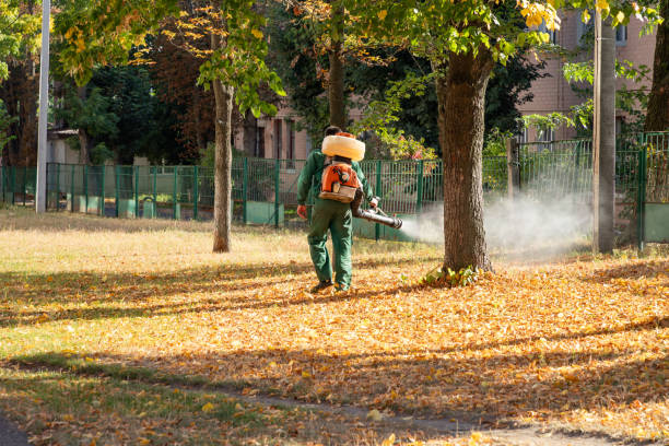Best Pest Removal Services  in Roebling, NJ