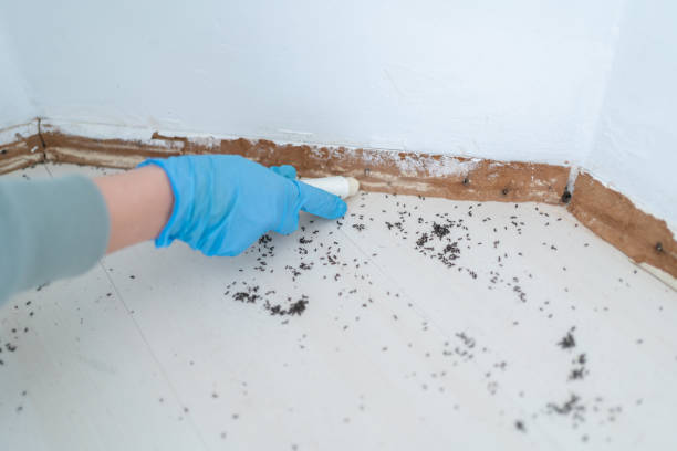 Best Emergency Pest Control  in Roebling, NJ
